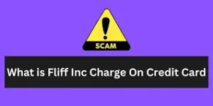 Read more about the article What is Fliff Inc Charge On Credit Card?