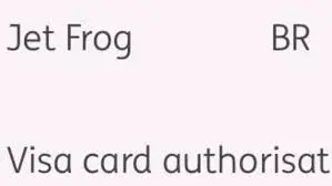 Read more about the article What Is Jet Frog Credit Card Charge?