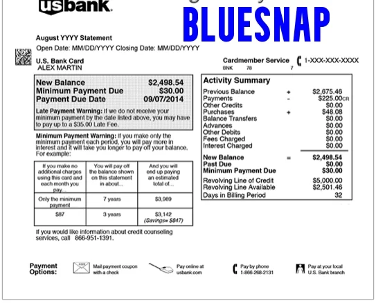 Read more about the article What Is BlueSnap Charge On Credit Card?