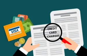 Read more about the article What Is Pappito.org Charge On Credit Card?