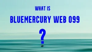 Read more about the article What Is Bluemercury Web 099 Charge On Credit Card?